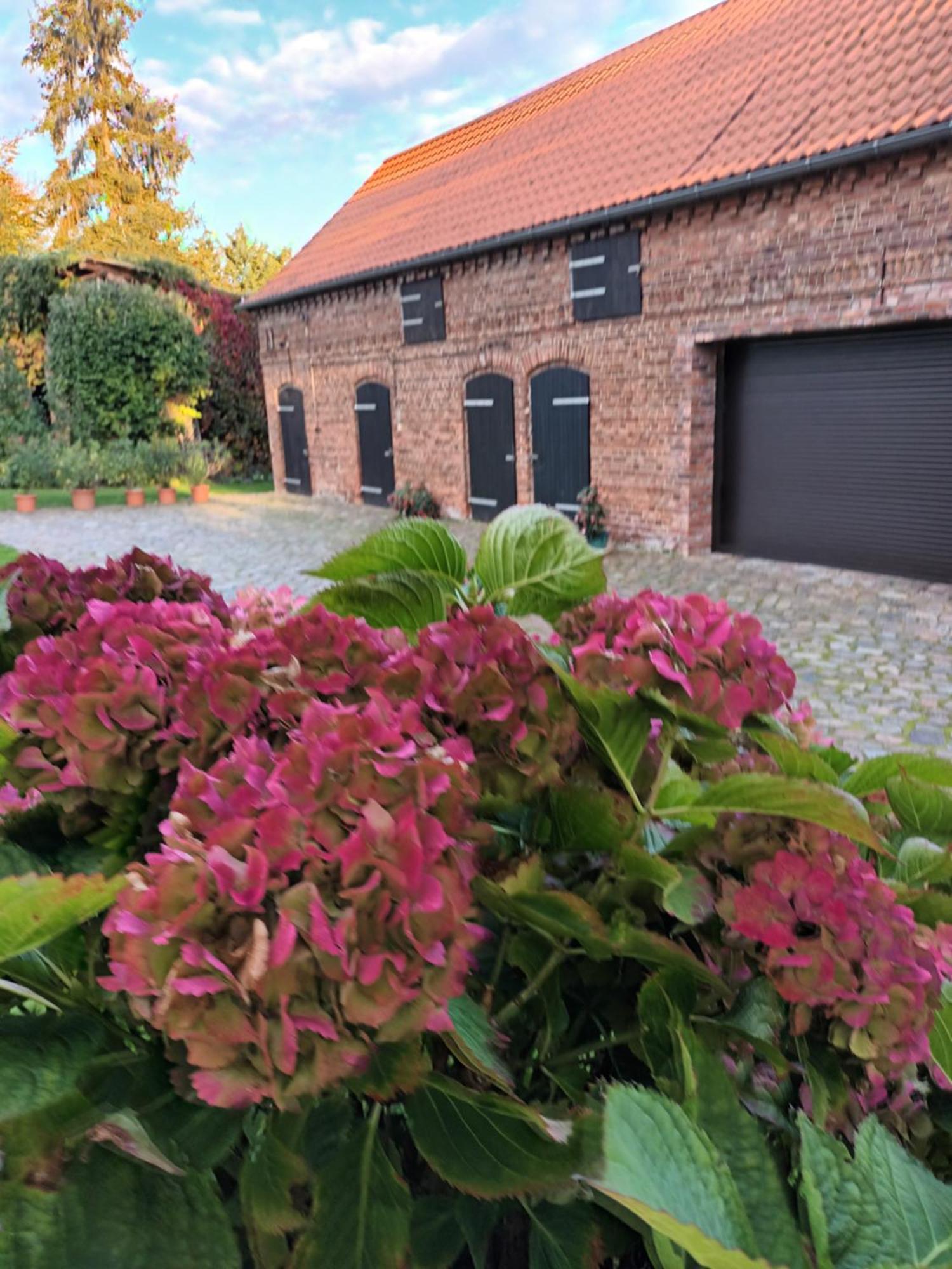 Ferienwohnung Perlitz Petersdorf  Exterior foto