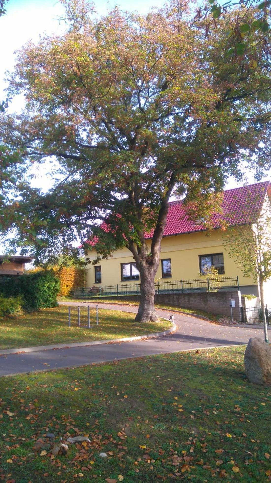 Ferienwohnung Perlitz Petersdorf  Exterior foto